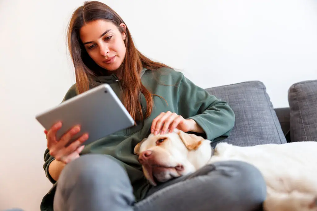 guia digital para tutores de cães